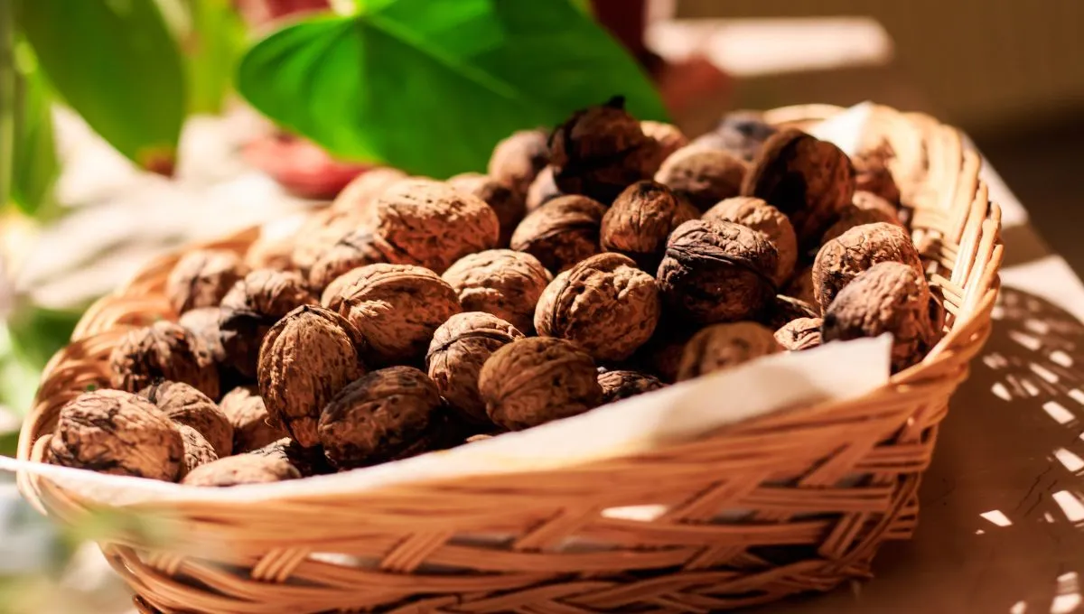 На Ореховый Спас несут в церковь орехи На Ореховый Спас несут в церковь орехи