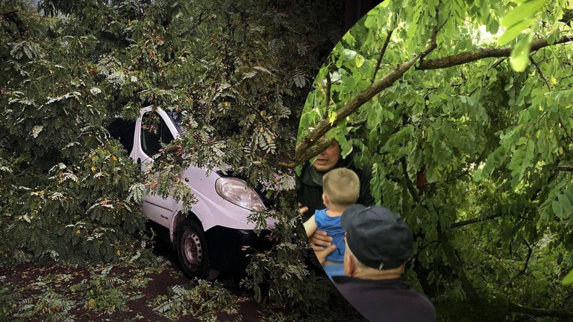 На Львівщині дерево впало на авто: у ньому була сім’я з 2 малими дітками - 24 Канал
