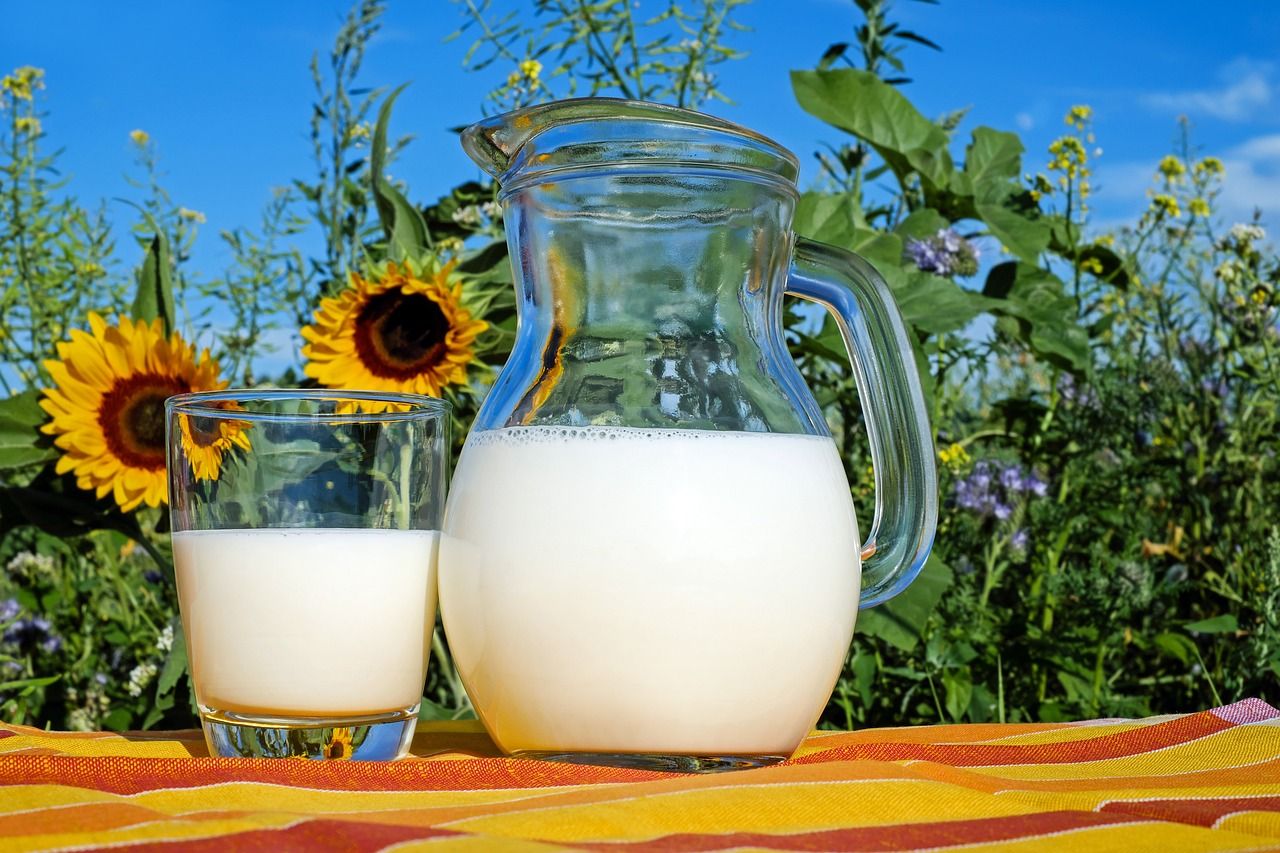 Перепон для експорту молока в Узбекистан більше немає, – Спілка молочних підприємств України