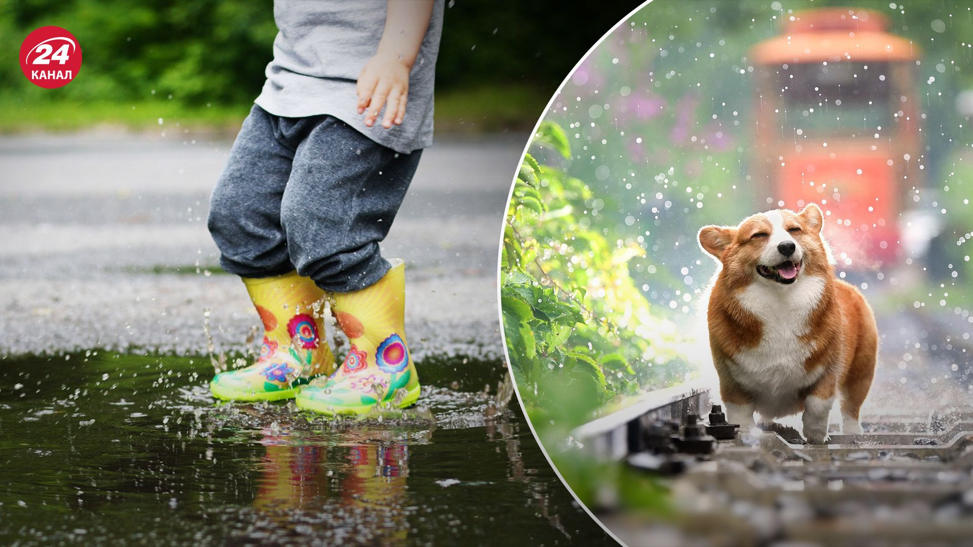 Прогноз погоды в Украине на 31 августа. Прогноз погоды в Украине на 31 августа.