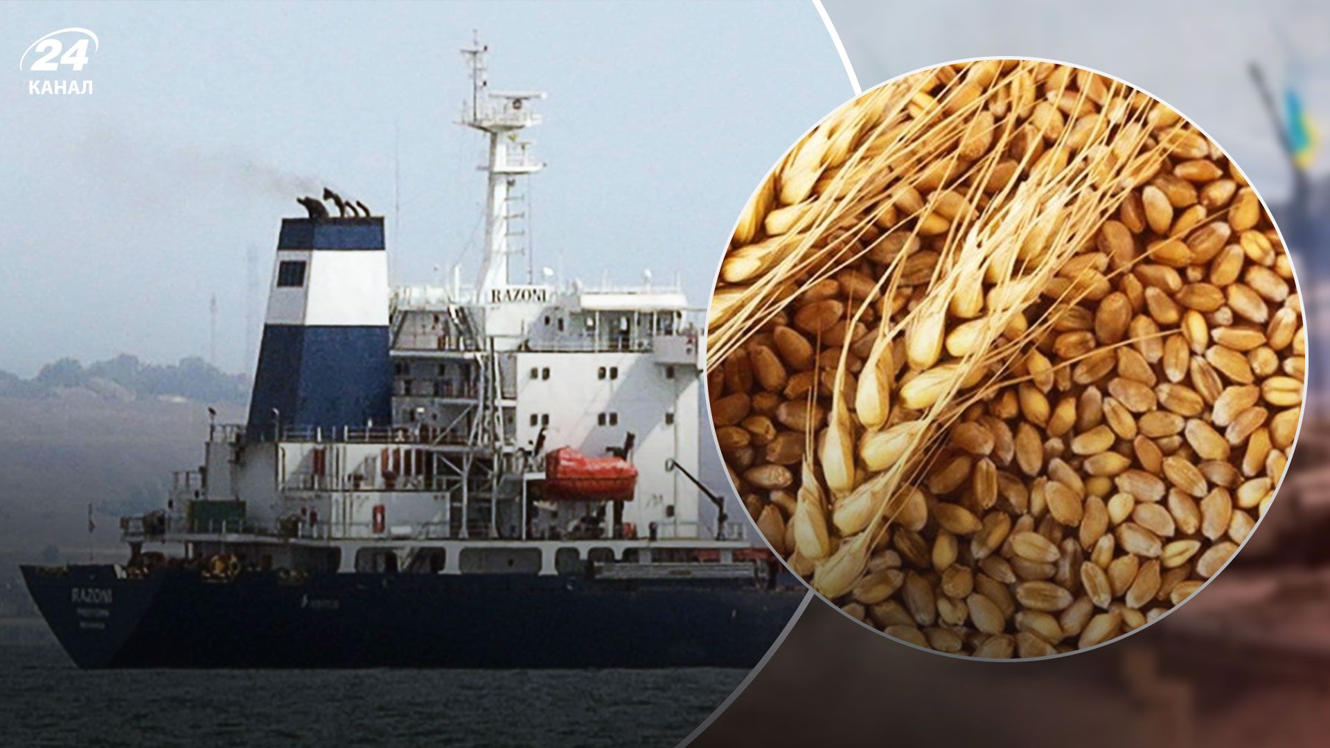 Польша запретила ввозить украинские товары - возобновят ли экспорт зерна