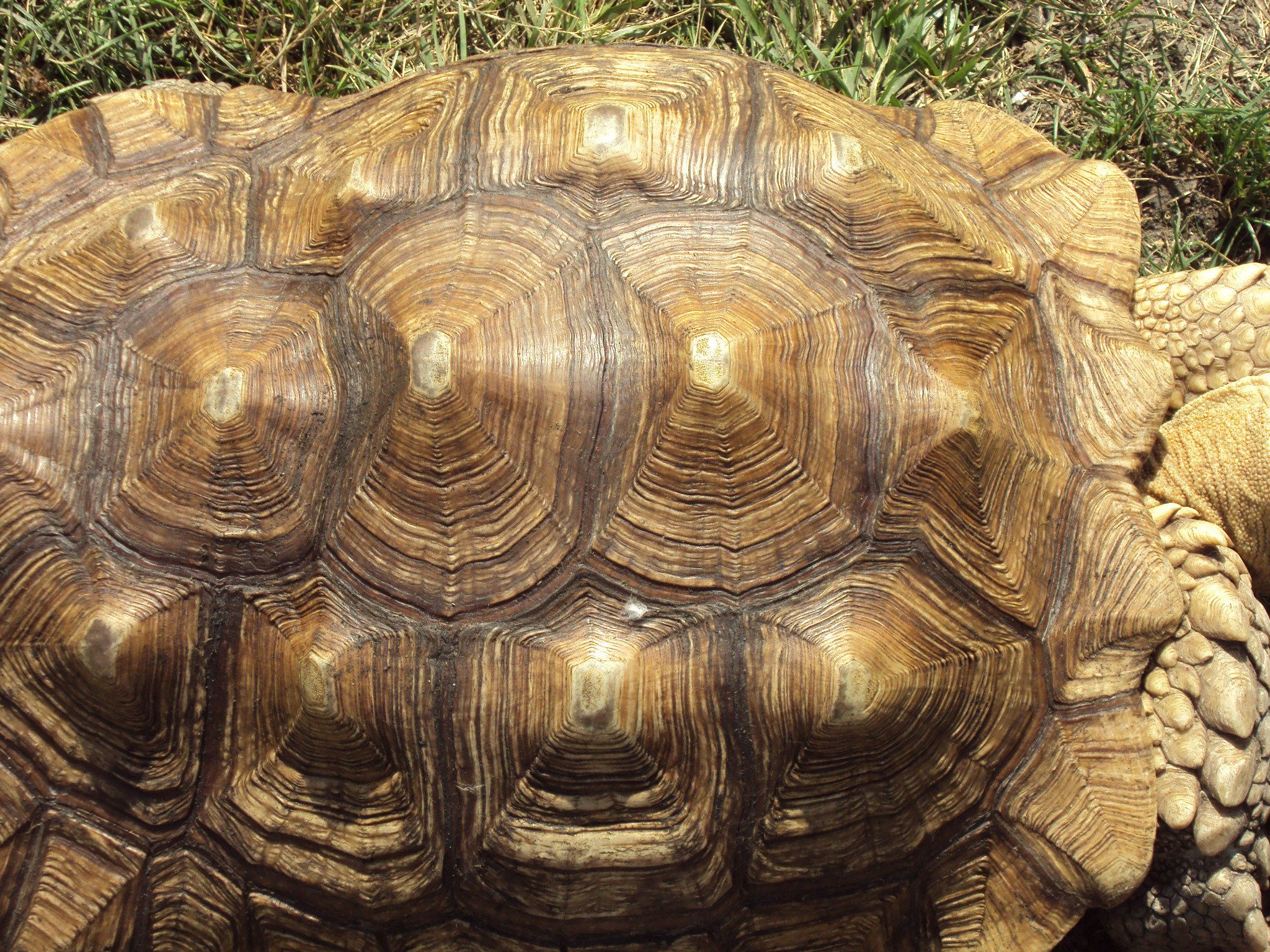 Иллюстративное фото Иллюстративное фото