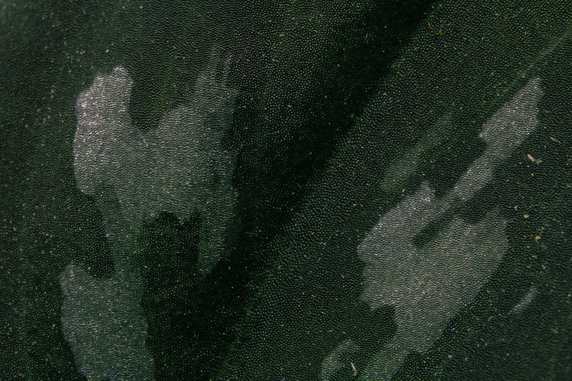 Иллюстративное фото Иллюстративное фото