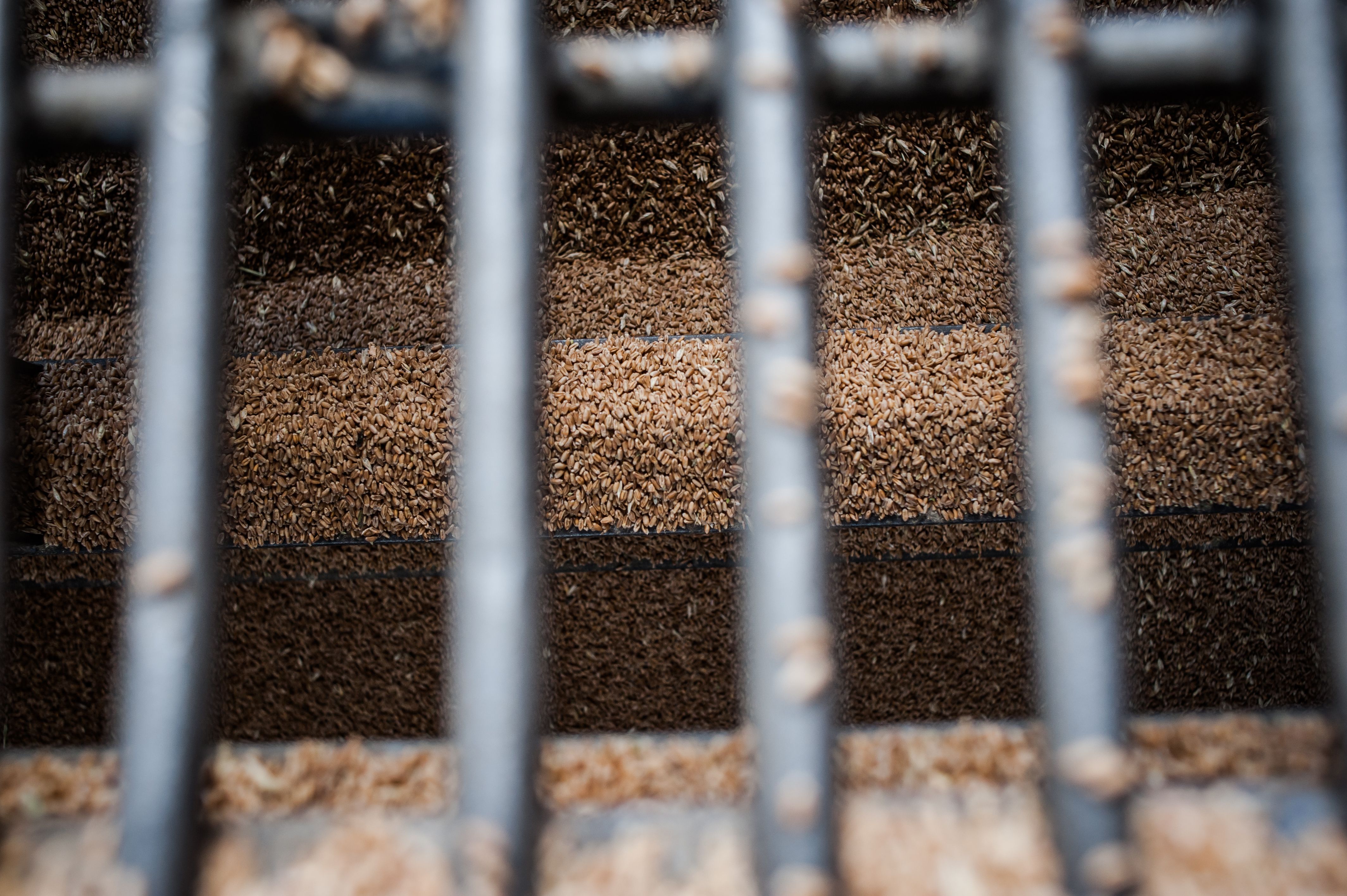 Эрдоган будет говорить с Путиным по поводу зерновой сделки Эрдоган будет говорить с Путиным по поводу зерновой сделки