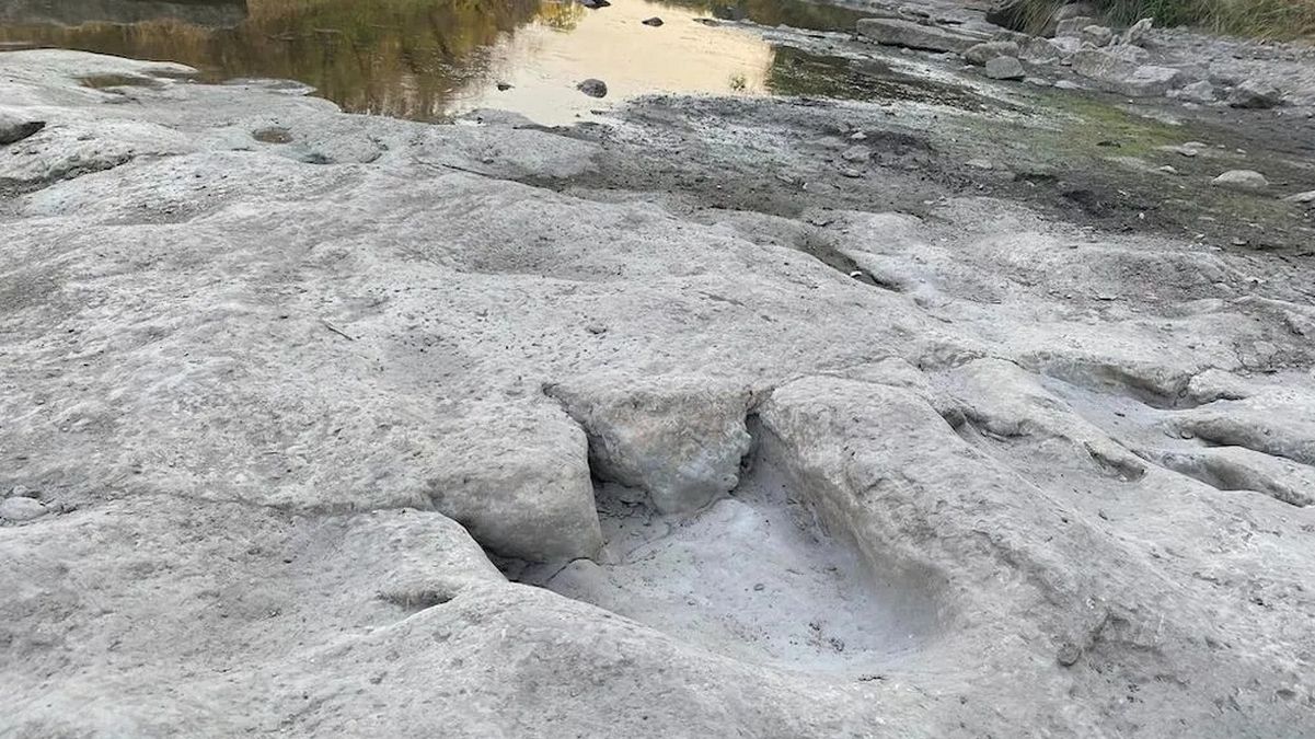 У парку Техаса знайшли майже 70 слідів динозаврів