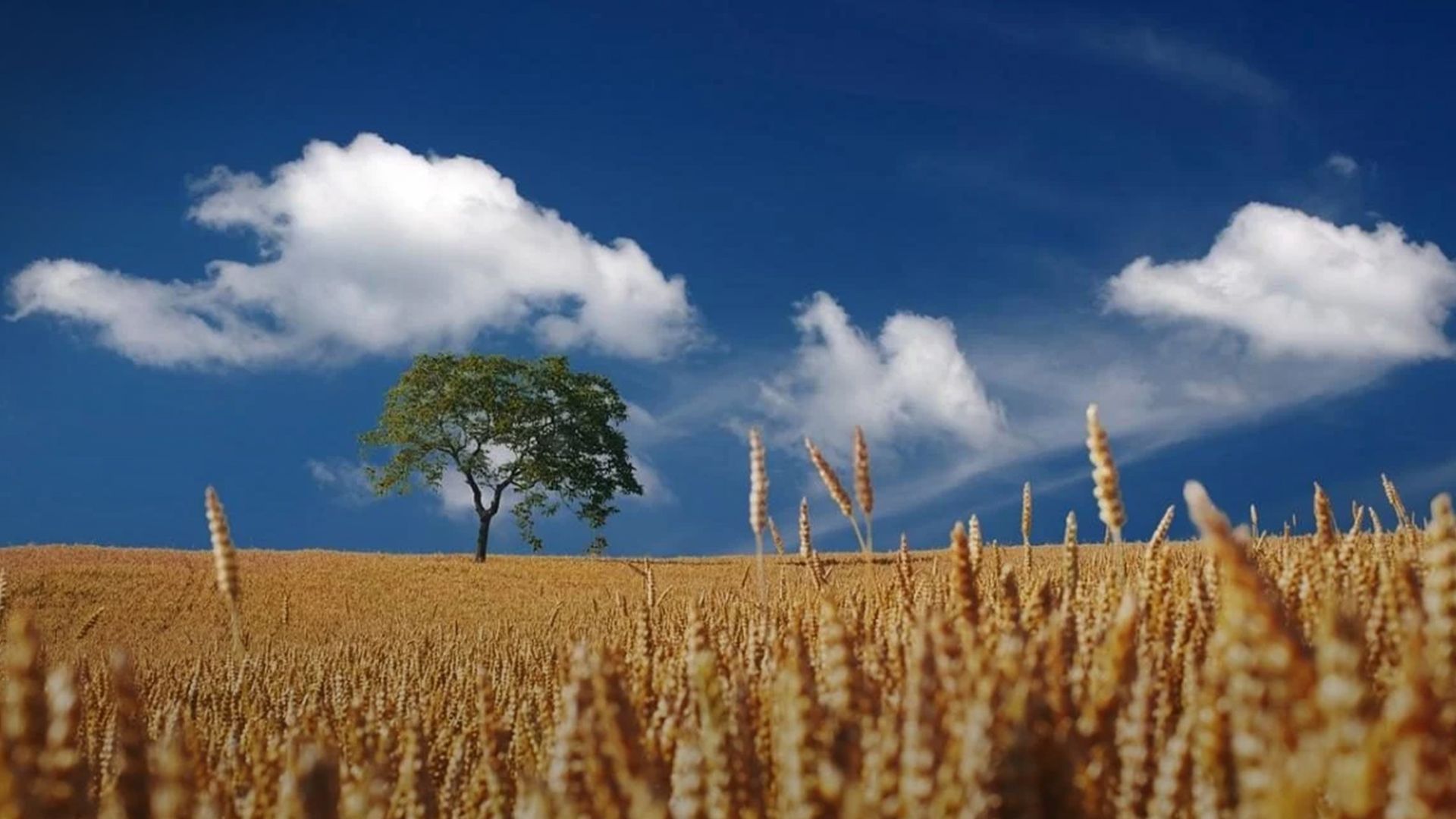 Прогноз погоди - 24 Канал Прогноз погоди - 24 Канал