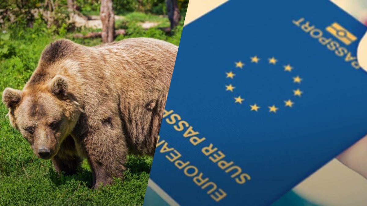 Незаконний мігрант з Білорусі звеселив користувачів мережі Незаконний мігрант з Білорусі звеселив користувачів мережі