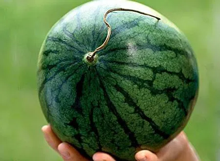 Стиглий кавун Стиглий кавун