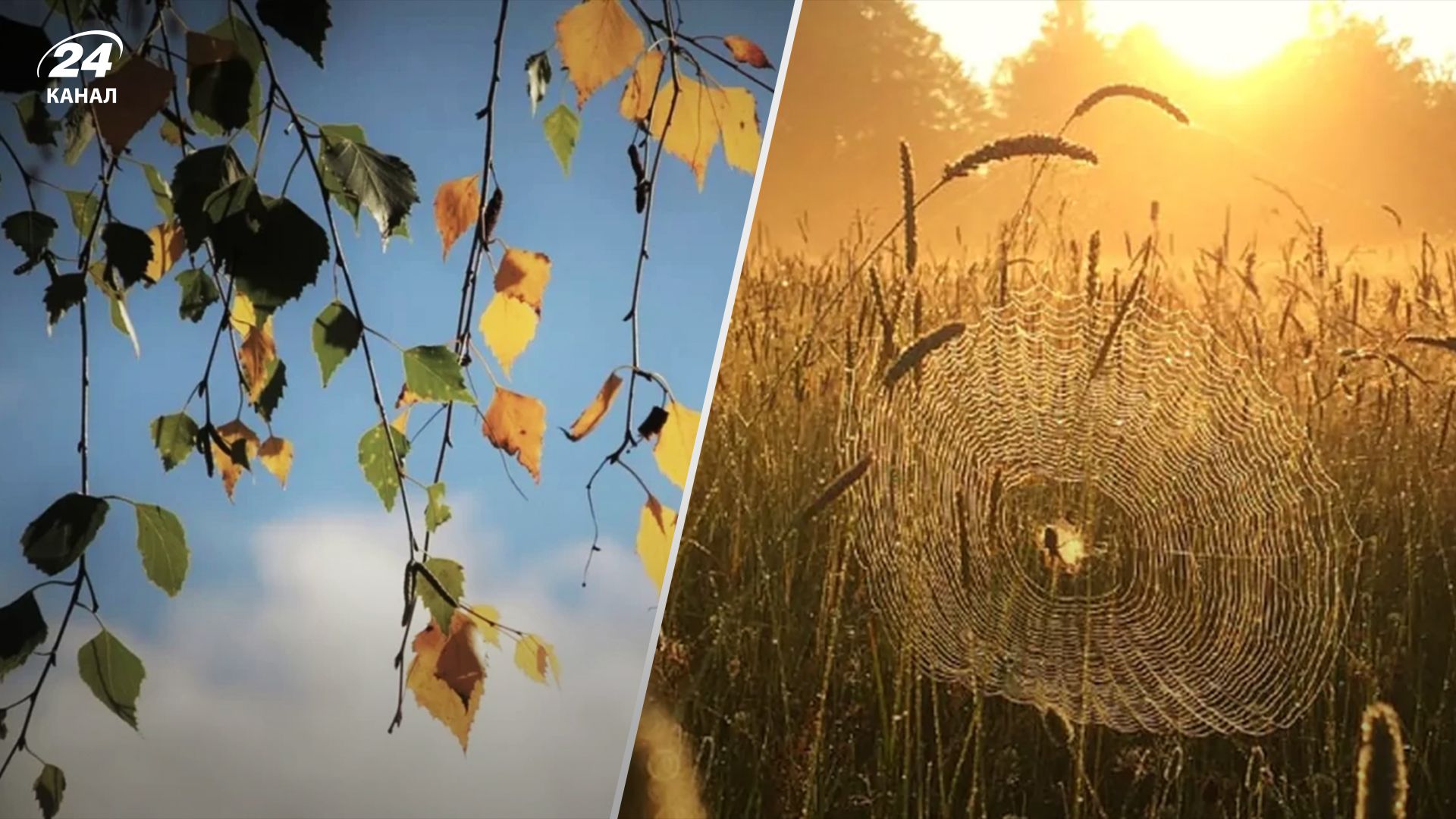 Прогноз погоды в Украине 5 сентября. Прогноз погоды в Украине 5 сентября.