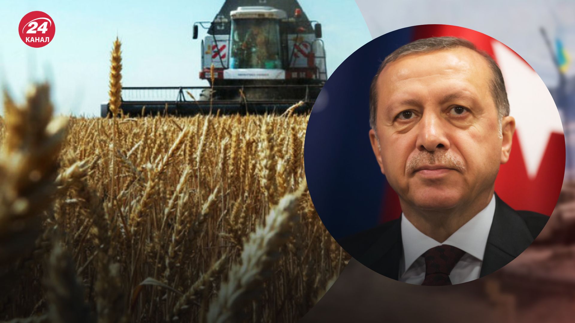 Эрдоган озвучит решение по украинскому зерну