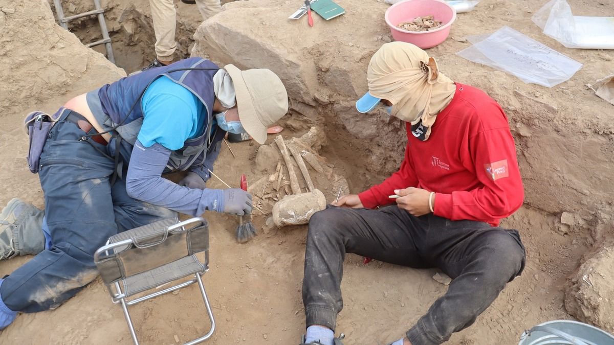 У Перу знайшли велике поселення, датоване до приходу інків У Перу знайшли велике поселення, датоване до приходу інків