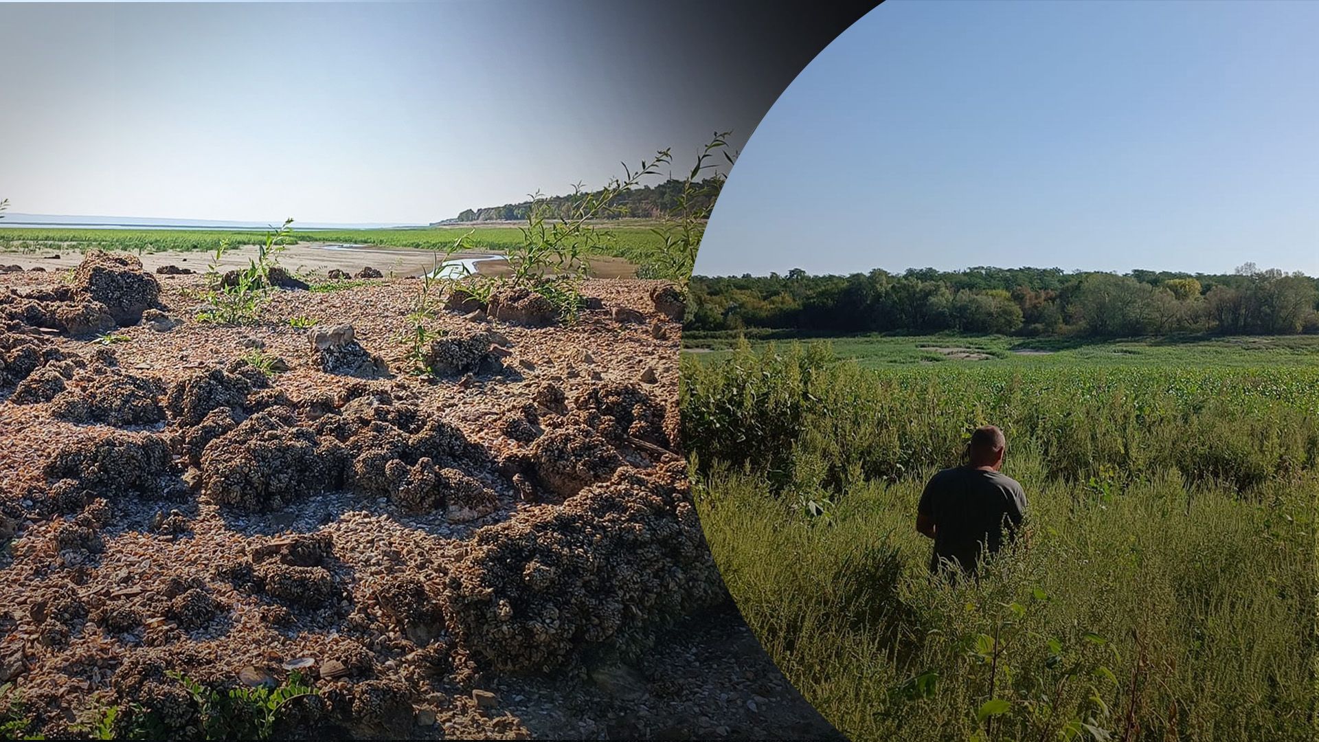 Росія перетворила водосховище на галявину Росія перетворила водосховище на галявину