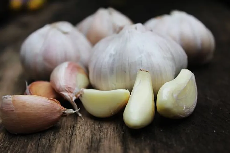 Зубці часнику Зубці часнику