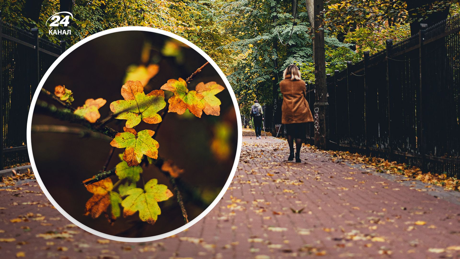 Погода восени - 24 Канал Погода восени - 24 Канал