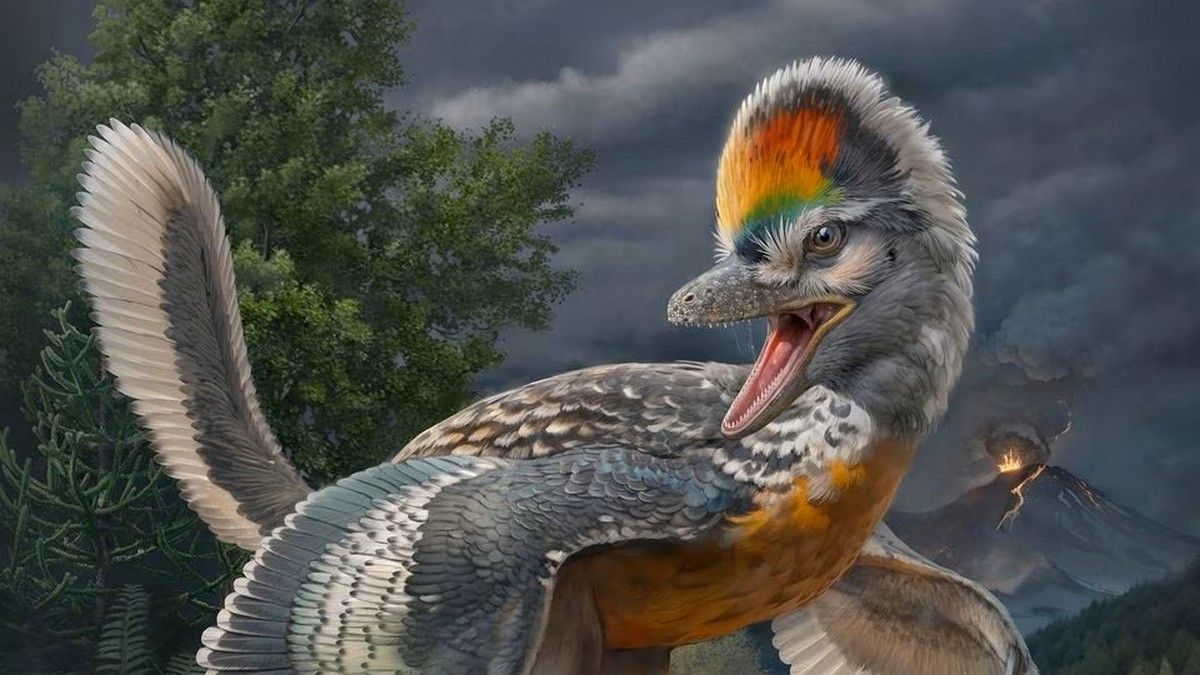 Нового предка птахів знайшли у Китаї Нового предка птахів знайшли у Китаї