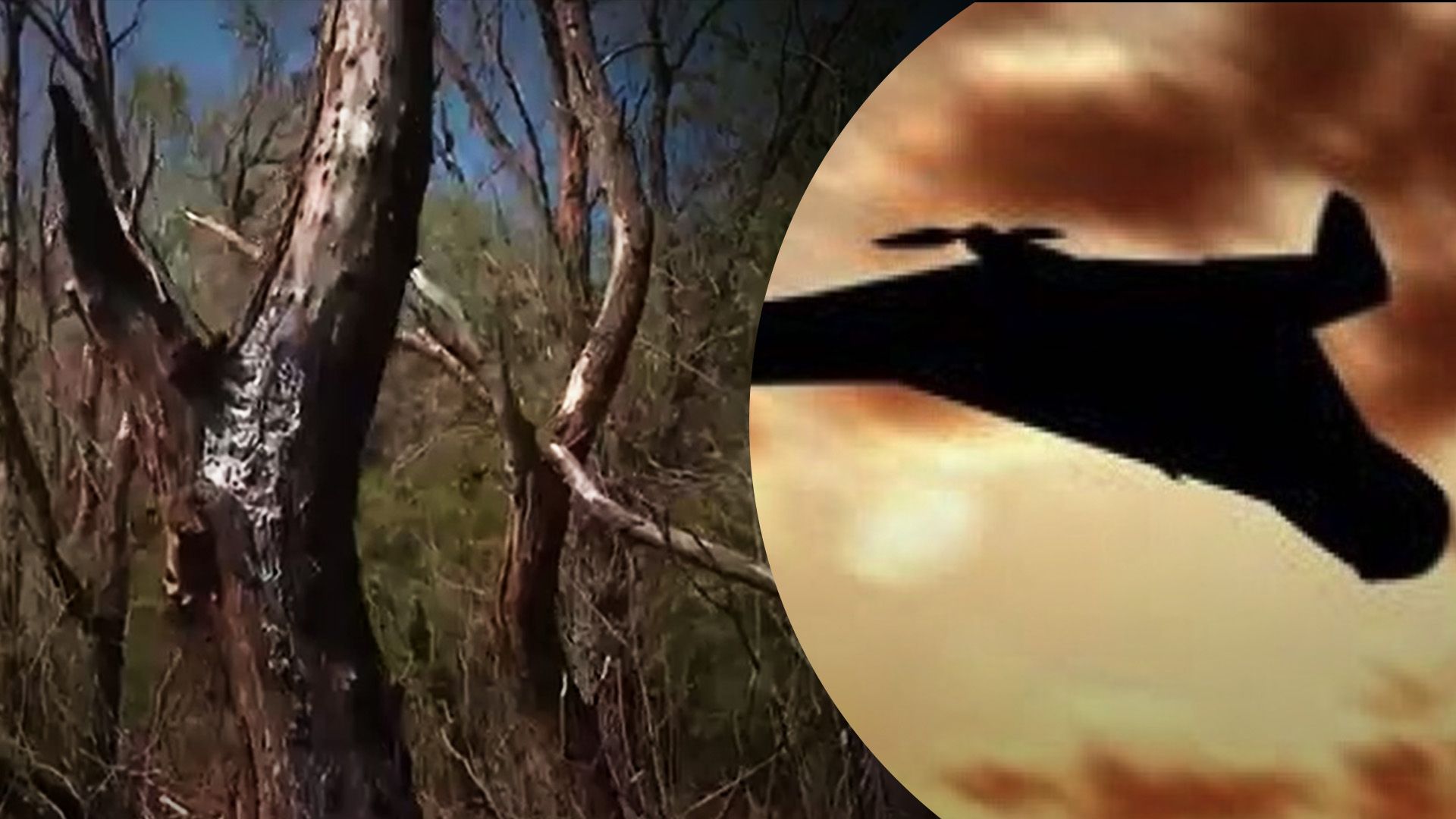 Падіння російської зброї в Румунії Падіння російської зброї в Румунії