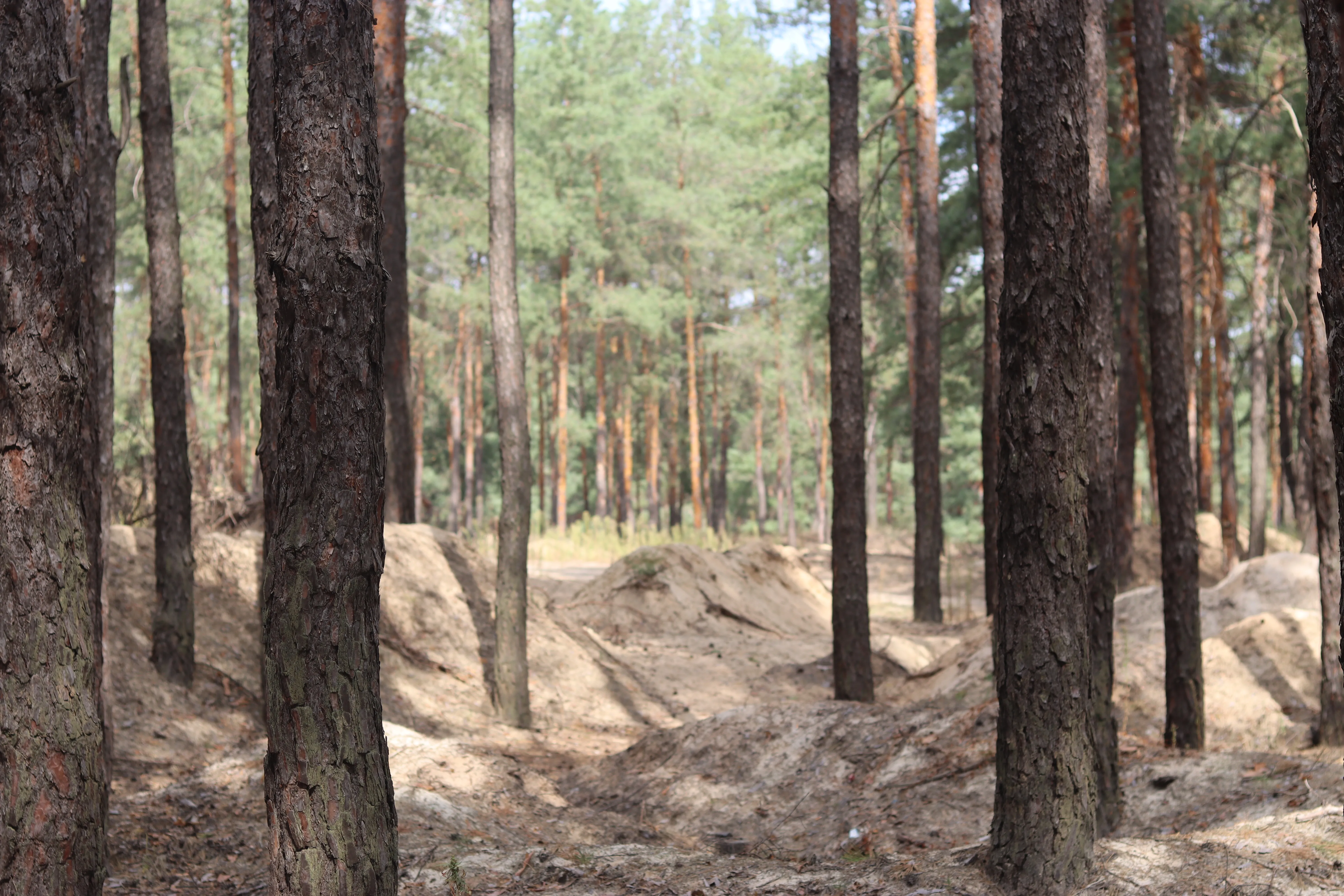 Місце масових поховань в Ізюмі Місце масових поховань в Ізюмі