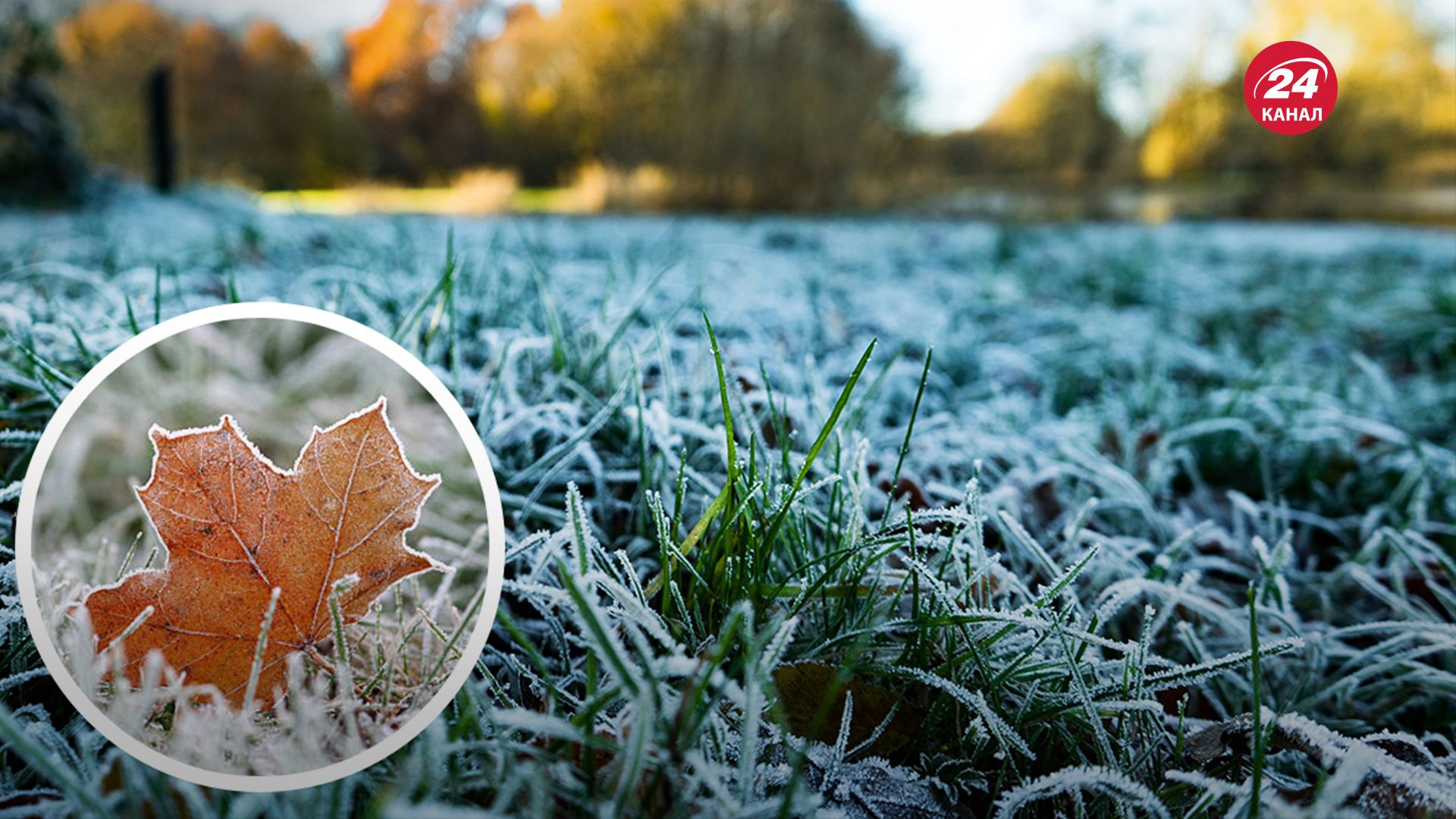 Первые заморозки - 24 Канал Первые заморозки - 24 Канал