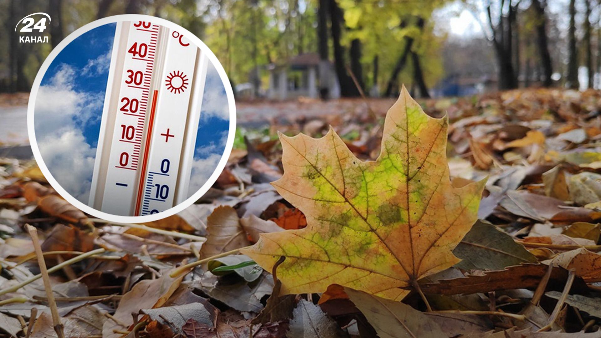 Жара осенью - 24 Канал Жара осенью - 24 Канал