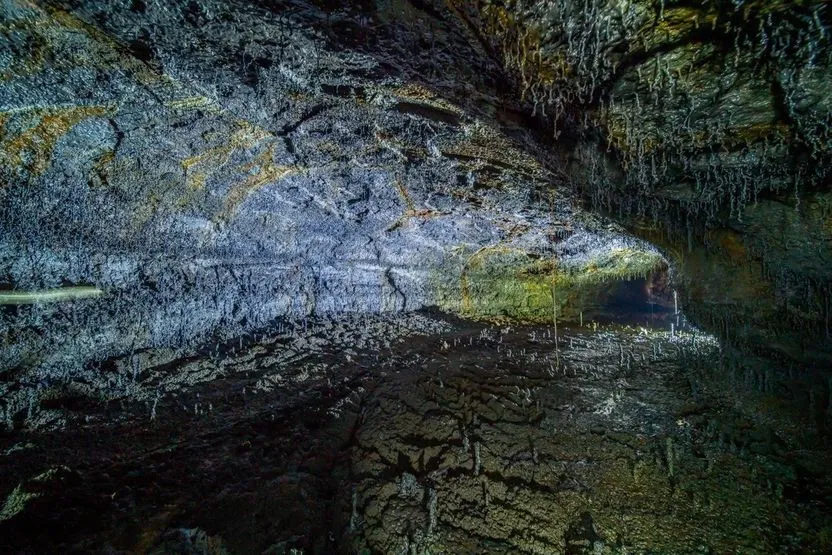 Нерухомість Тренди і натхнення Нерухомість Тренди і натхнення