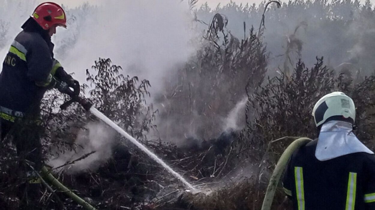 Пожар на свалке 09.09.2023 - в Ставах тушили огонь 7 часов - детали - 24 Канал Пожар на свалке 09.09.2023 - в Ставах тушили огонь 7 часов - детали - 24 Канал