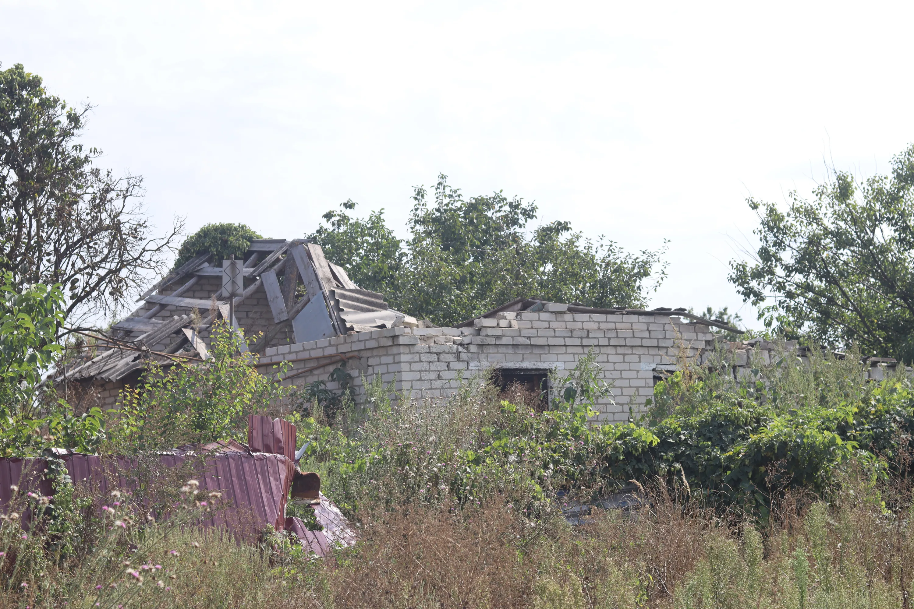 Більшість будинків у селі виглядають так