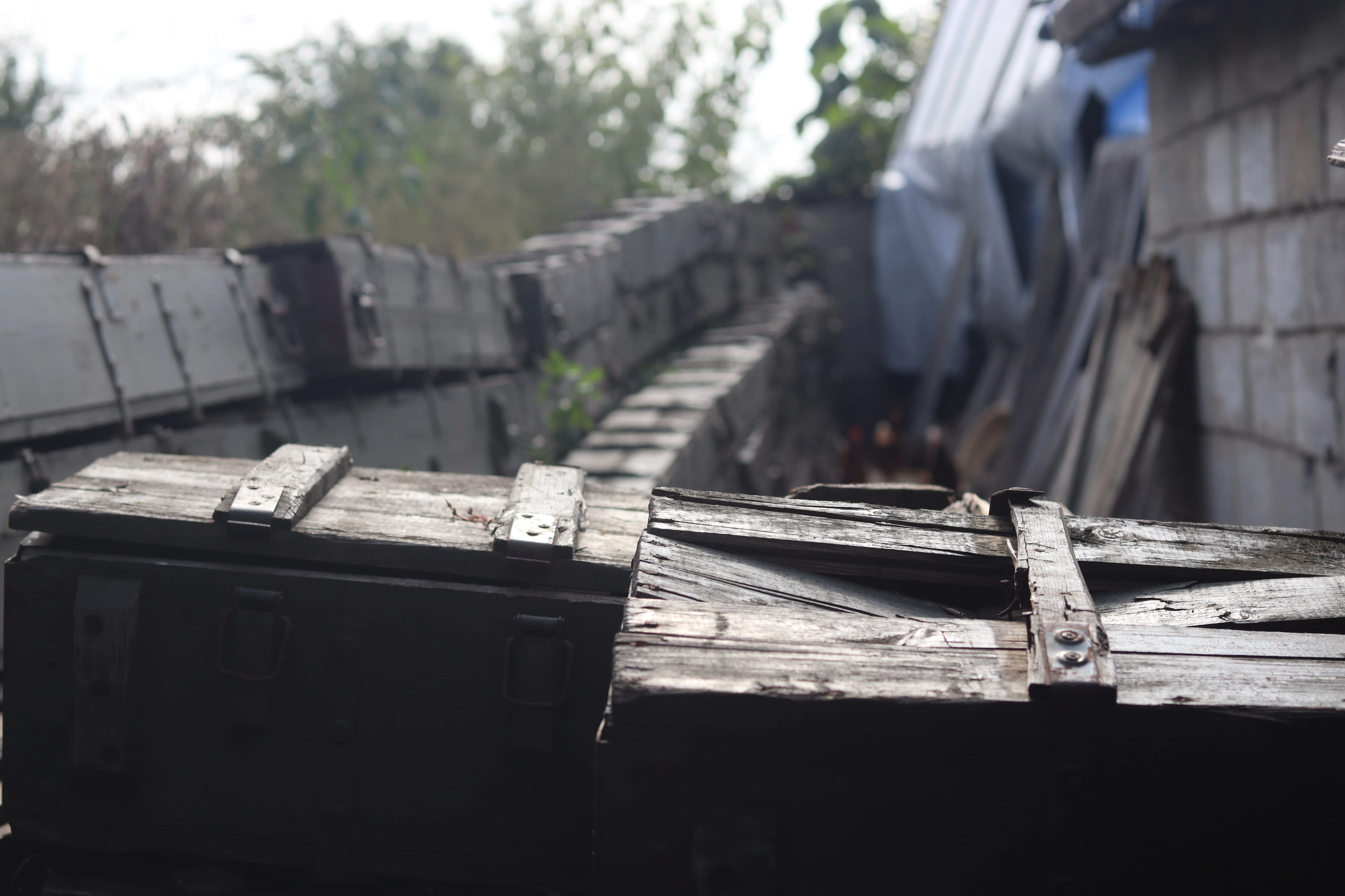 Тепер це будуть дрова Тепер це будуть дрова