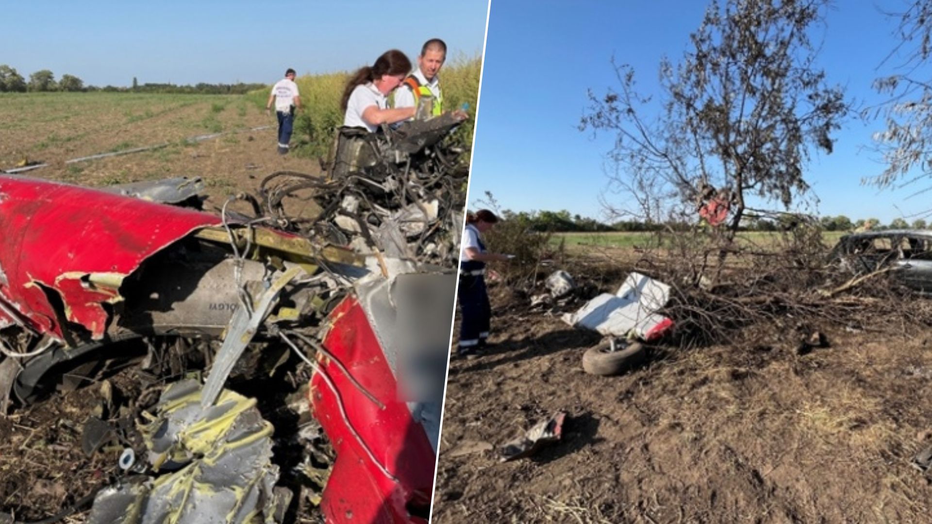 В Угорщині розбився літак
