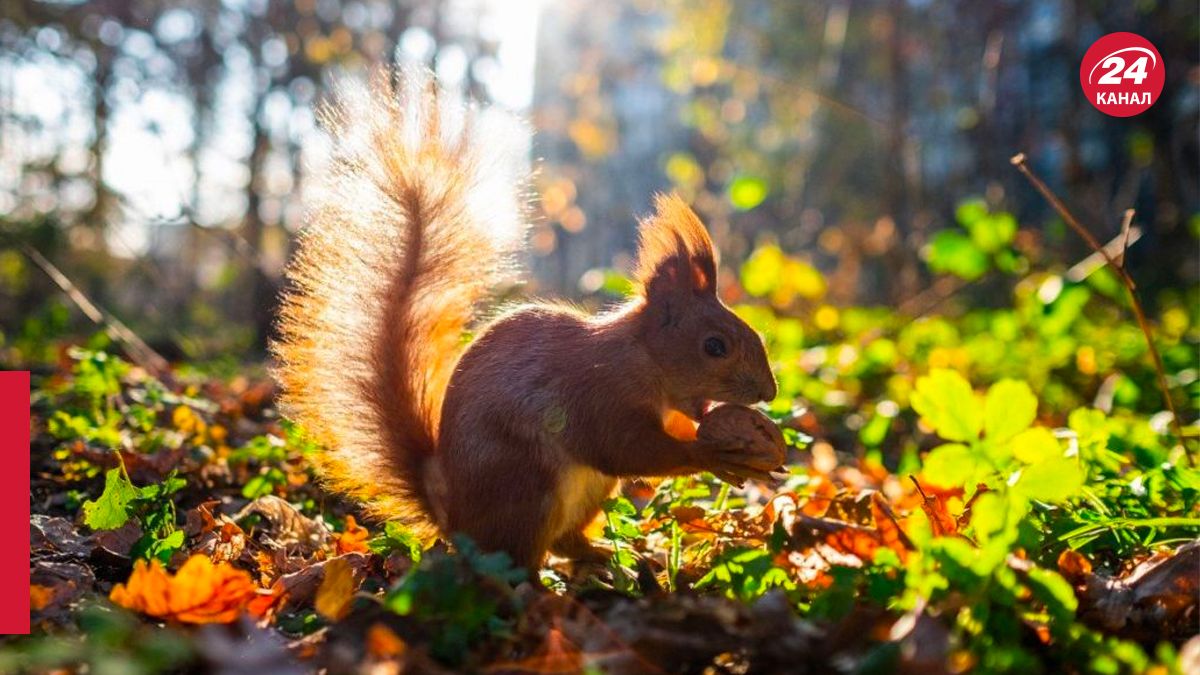Точный прогноз погоды на 12 сентября Точный прогноз погоды на 12 сентября
