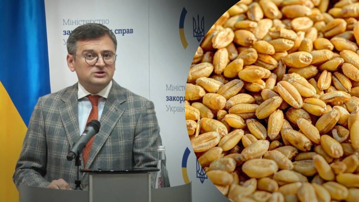 Кулеба назвав ідею скасування санкцій в обмін на поновлення зернової угоди нелогічною