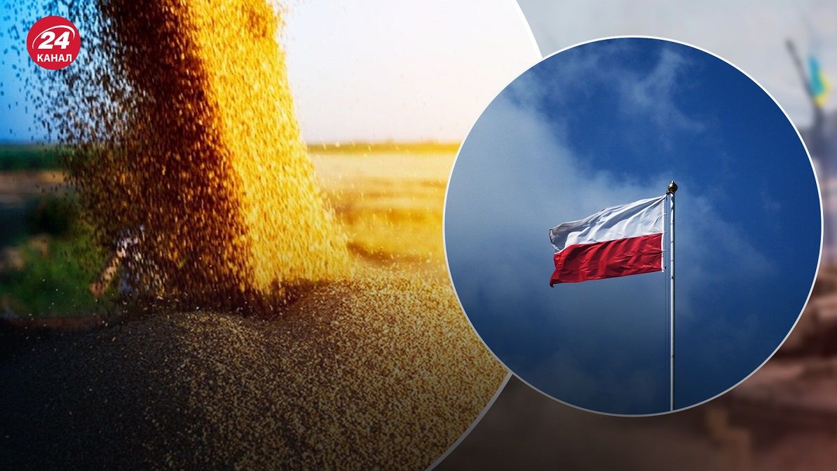 Польша запретит импорт украинского зерна – какой механизм запрета - 24 Канал Польша запретит импорт украинского зерна – какой механизм запрета - 24 Канал