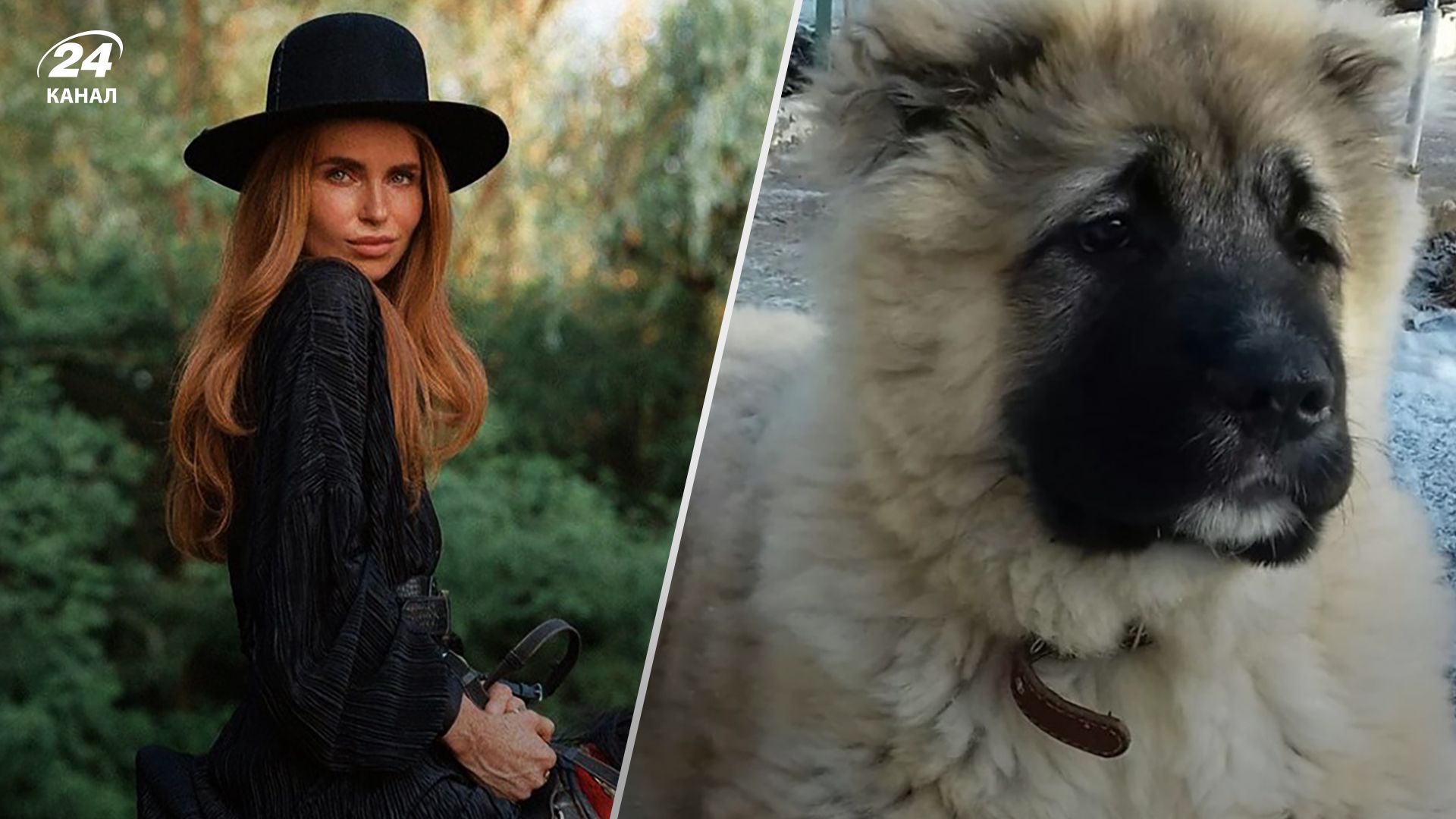 Любов Кіракасьян заявила, що її покусала вівчарка Амір - деталі скандалу у Дніпрі Любов Кіракасьян заявила, що її покусала вівчарка Амір - деталі скандалу у Дніпрі