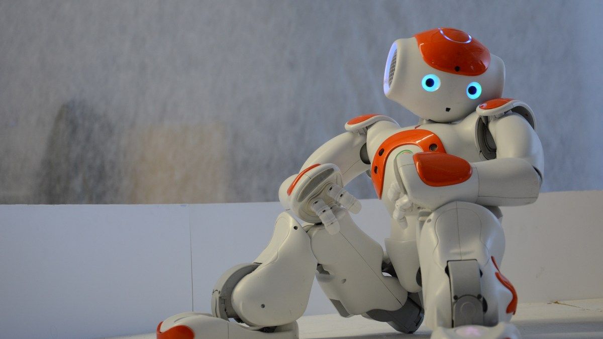 Люди проявляют к роботам почти такую же эмпатию, как и другим людям Люди проявляют к роботам почти такую же эмпатию, как и другим людям