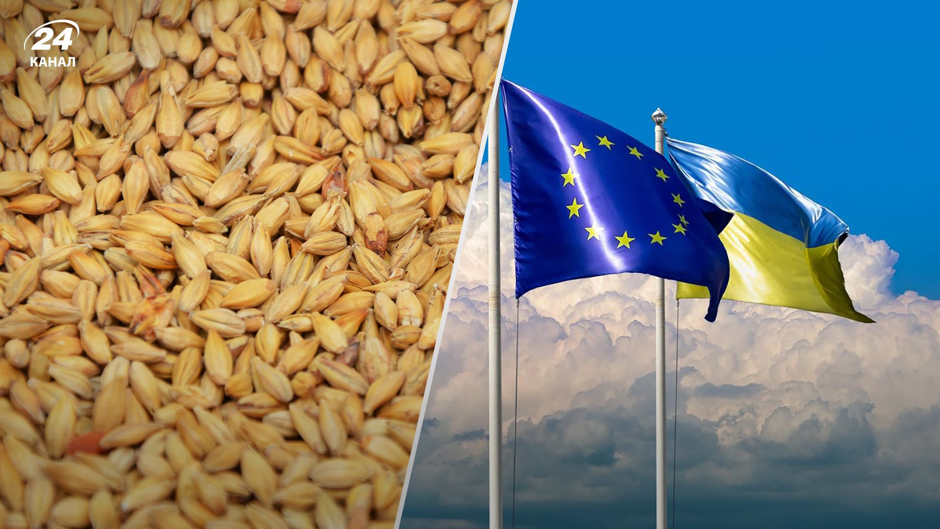 В ЕС продолжаются дебаты из-за зернового соглашения - все, что известно