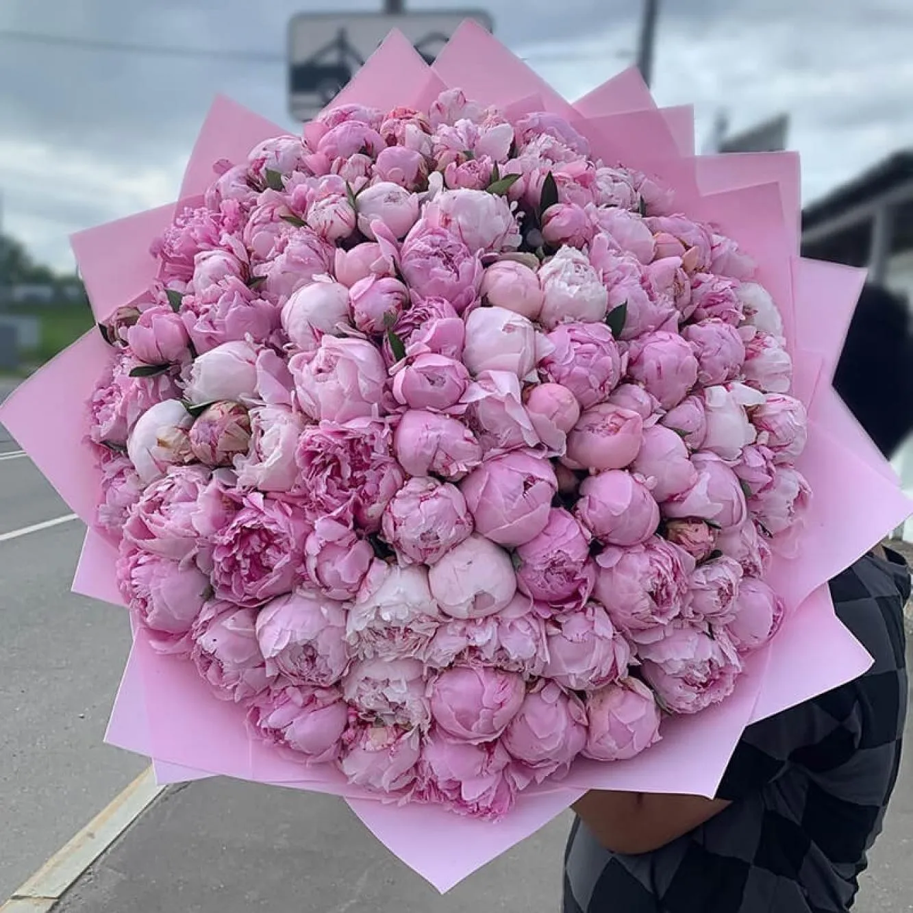 Пионы Пионы