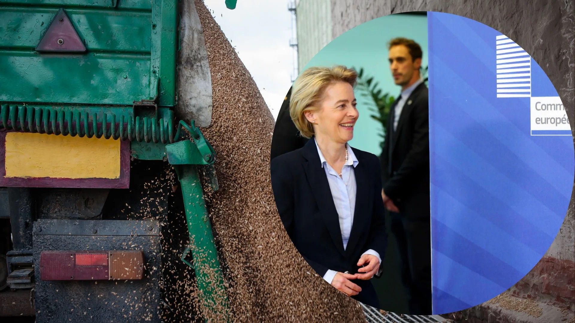 Отменит ли Еврокомиссия запрет на импорт украинского зерна в 5 стран Отменит ли Еврокомиссия запрет на импорт украинского зерна в 5 стран