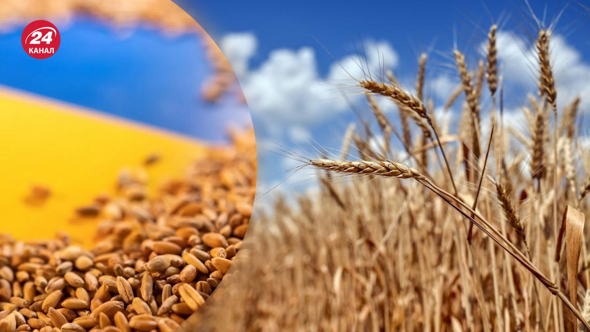 Україна добилася розблокування експорту зерна