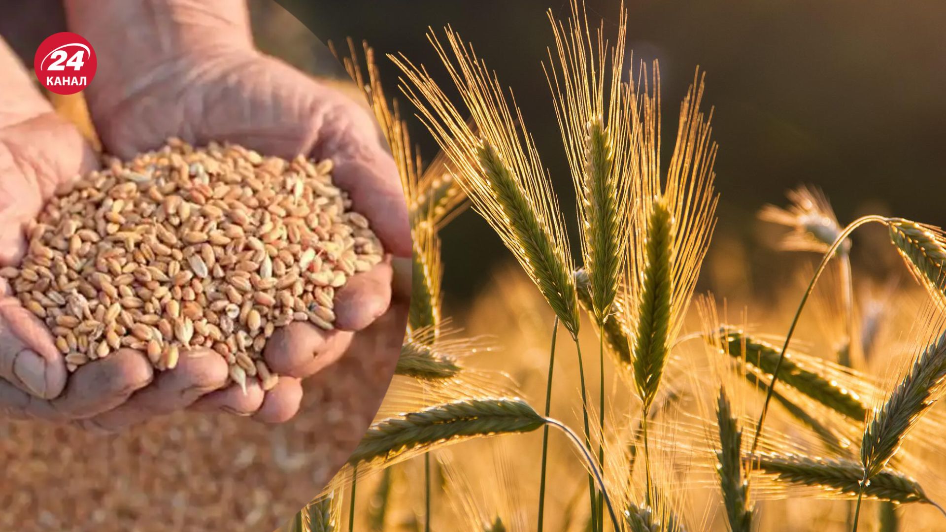 Решения Еврокомиссии поддерживают не все Решения Еврокомиссии поддерживают не все