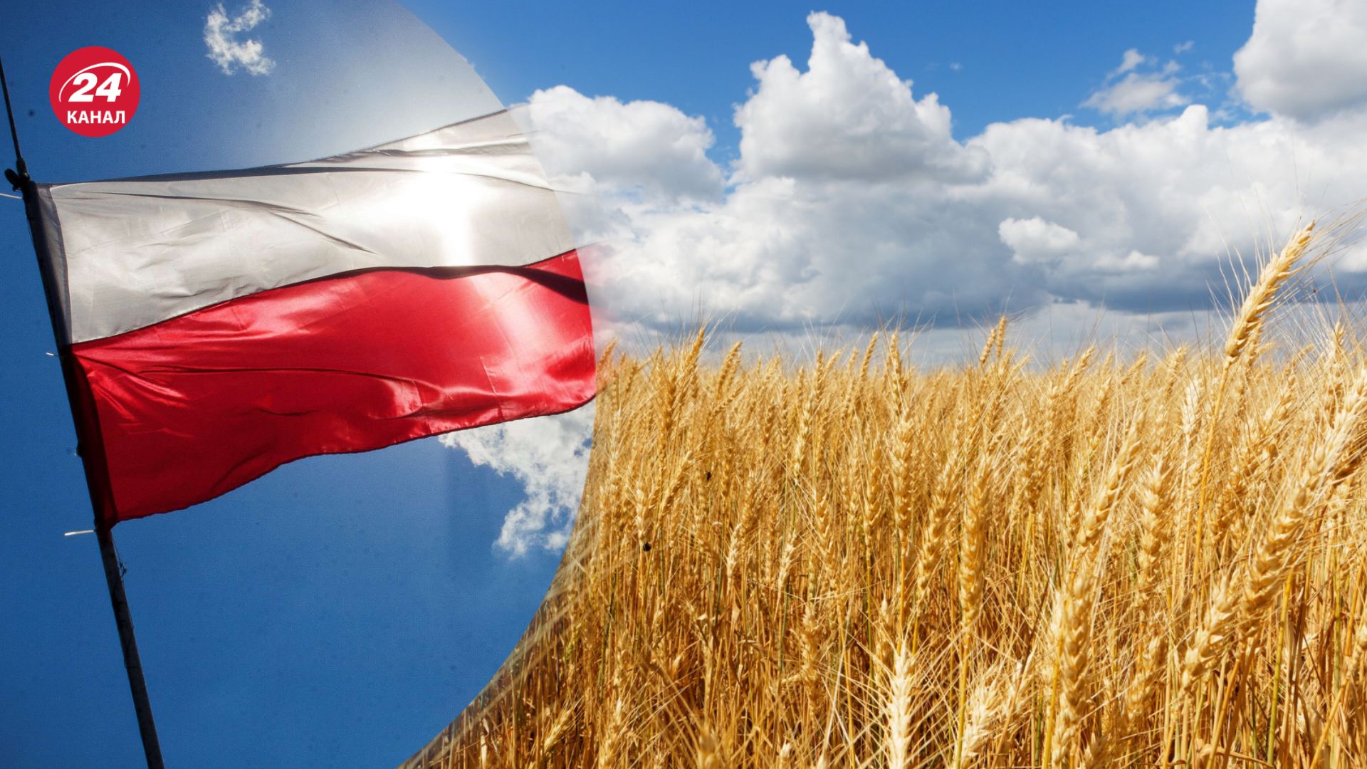 Польша блокирует экспорт украинского зерна