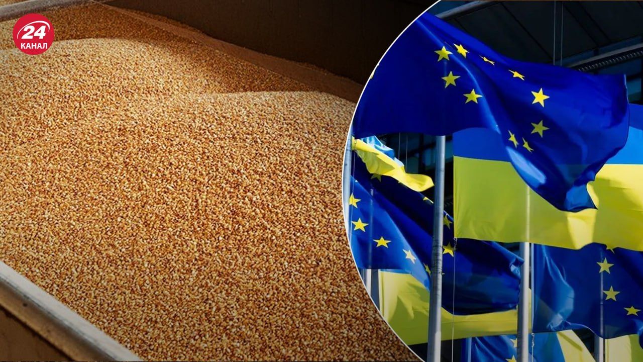 Чому країни блокують експорт українського зерна
