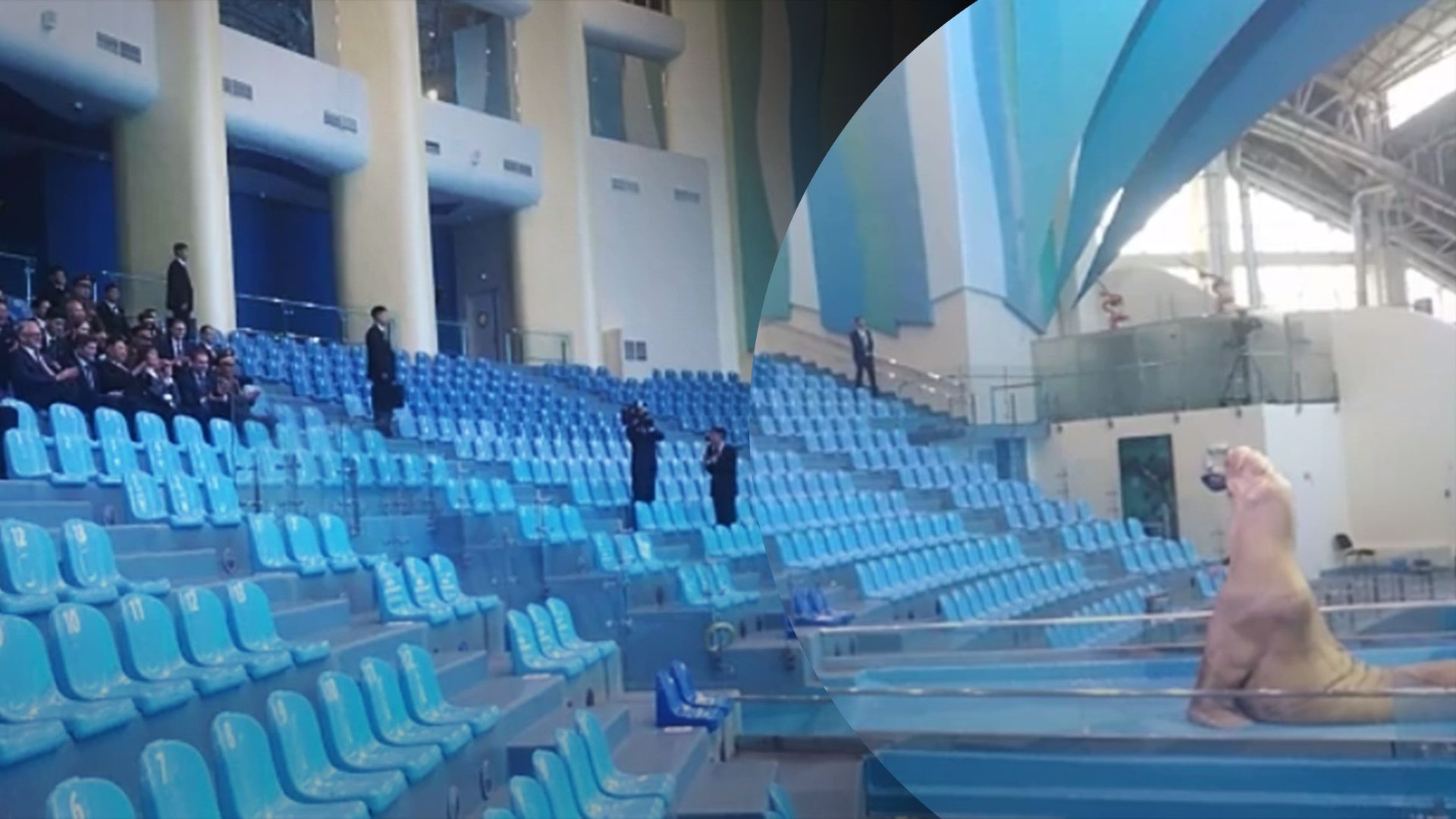 Кім відвідав океанаріум Кім відвідав океанаріум