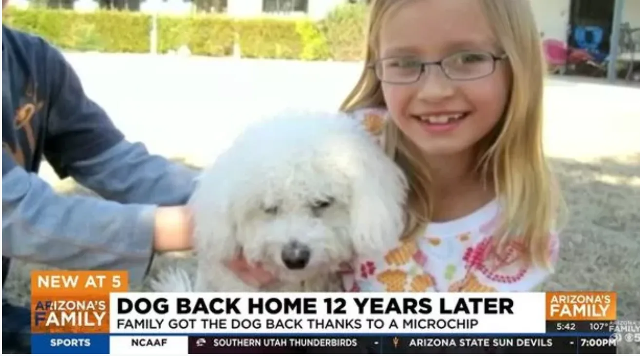 Собака вернулась через 12 лет