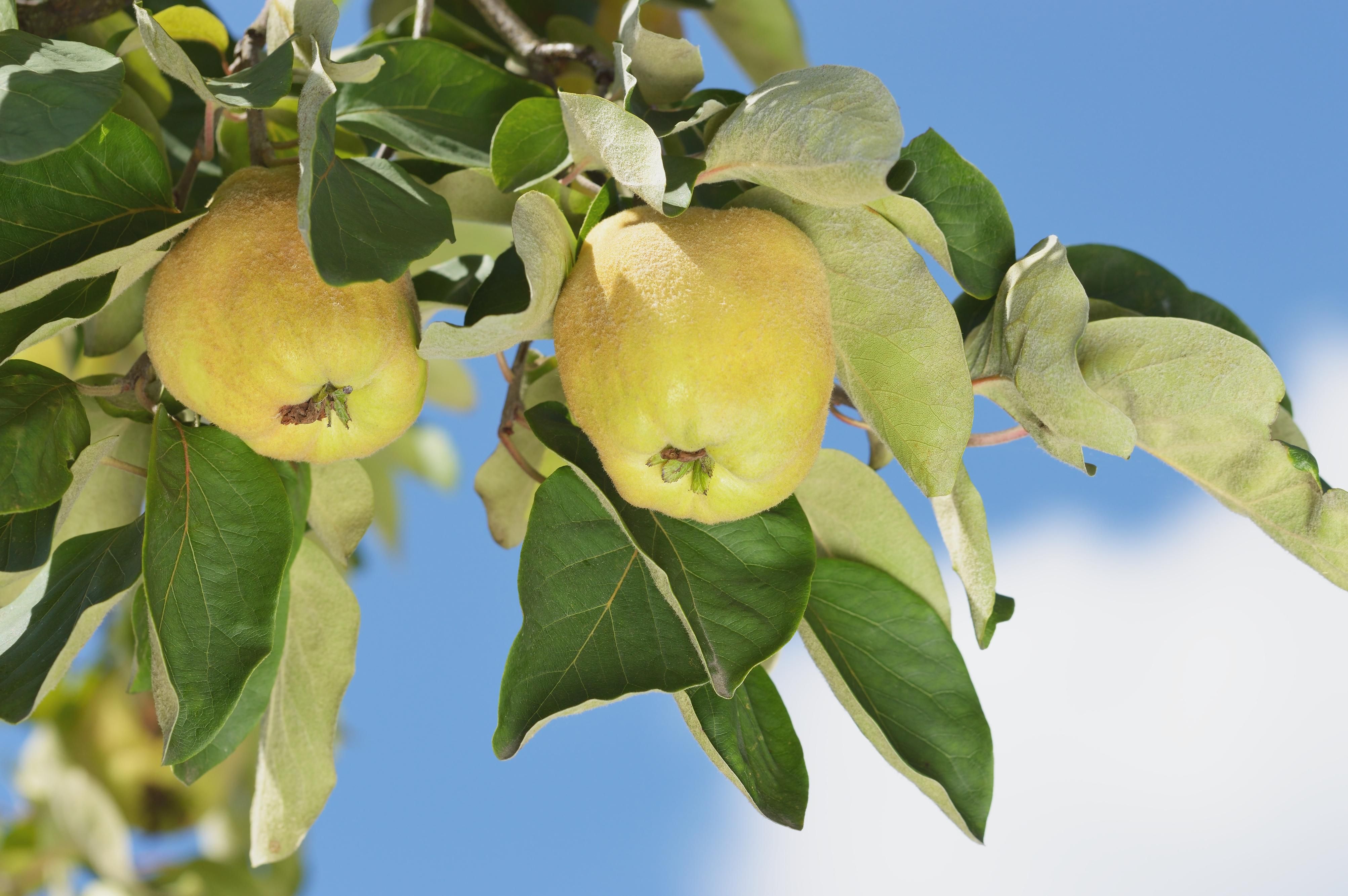 Отказ от польских продуктов Отказ от польских продуктов