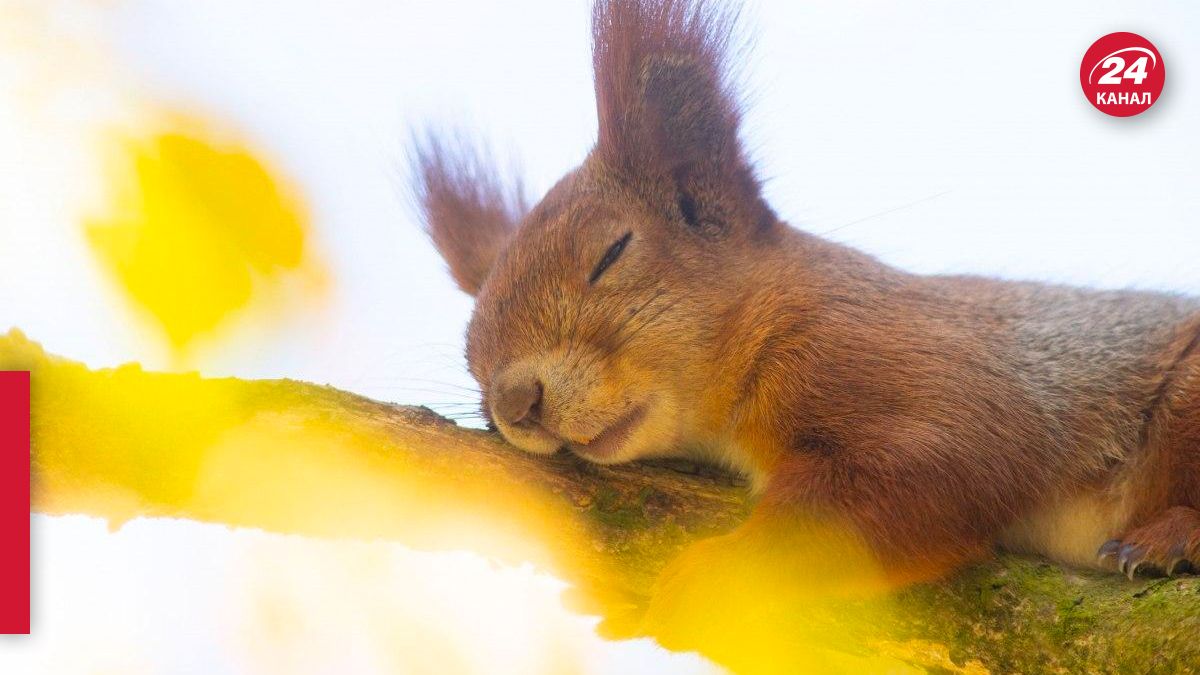 Якою буде погода в Україні 19 вересня - 24 Канал Якою буде погода в Україні 19 вересня - 24 Канал