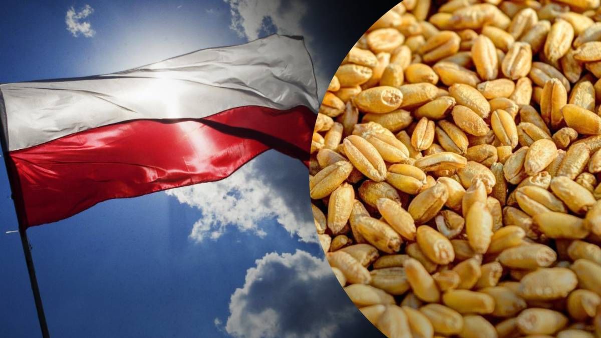 Польша запретила импорт зерна из Украины