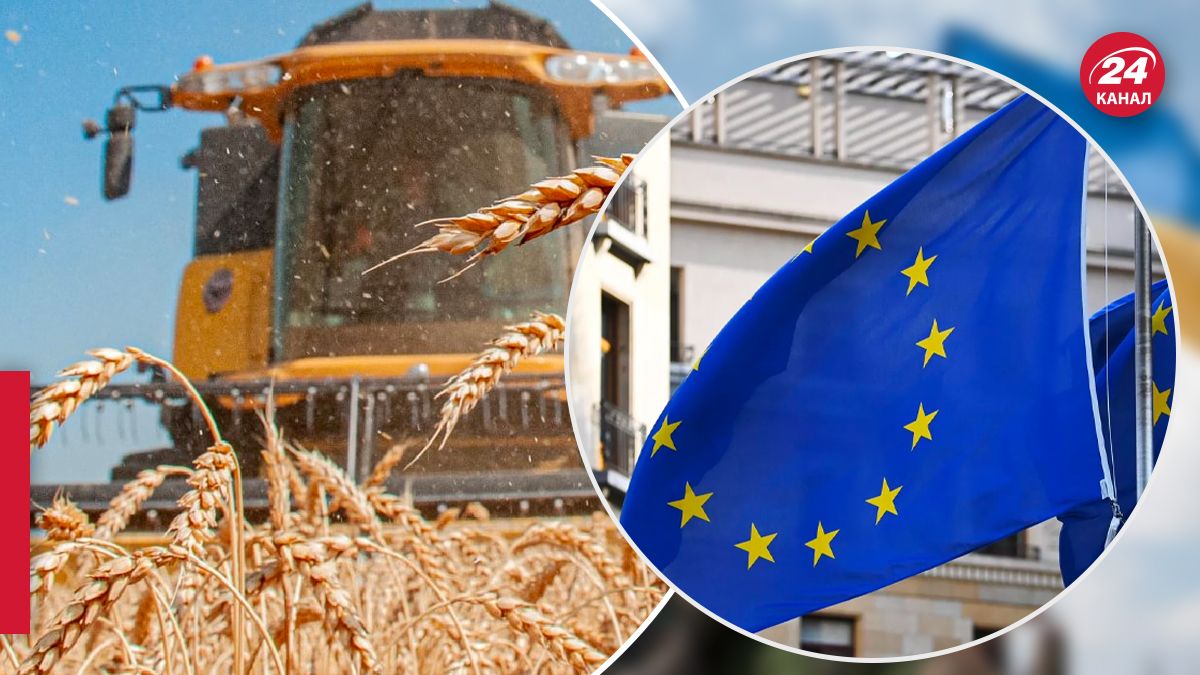 Три страны ЕС не будут участвовать в переговорах по импорту зерна из Украины