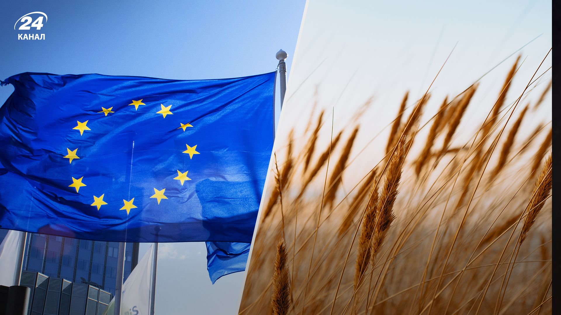 Иск Украины к ВТО и баталии в ЕС через зерно - удалось ли что-нибудь решить в Брюсселе