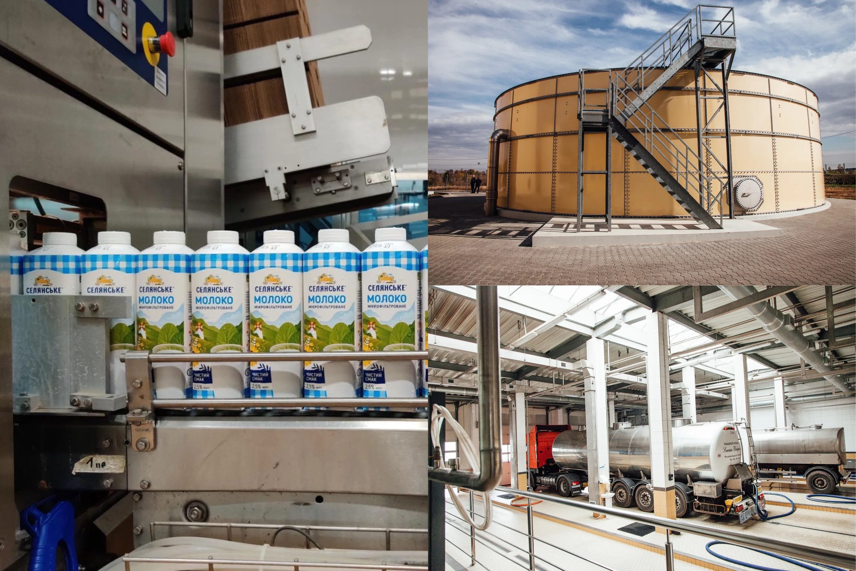 Особливості мікрофільтрованого молока від 