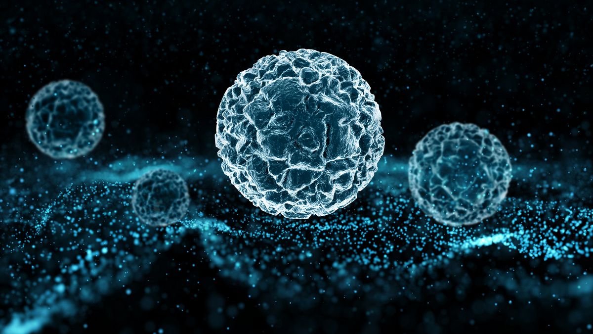 Нейтрино и фотоны могут вступать во взаимодействие в особых условиях. Нейтрино и фотоны могут вступать во взаимодействие в особых условиях.