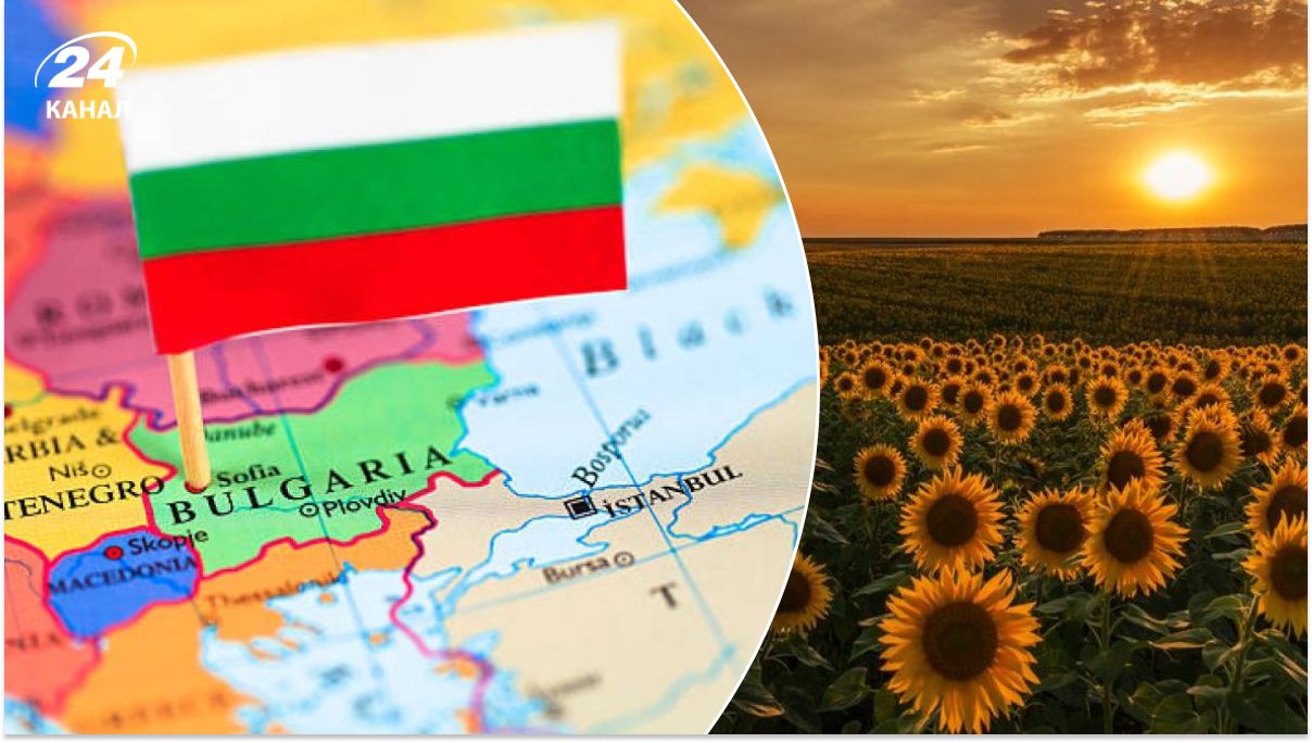 Болгария отказывается импортировать подсолнечник